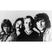 CROSBY_ STILLS_ NASH _ YOUNG